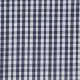 Blue_and_White_Gingham