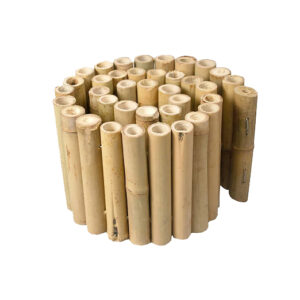 Small Bamboo Border