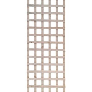 Prime Lattice