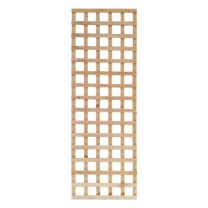 Economy Lattice 1800x600