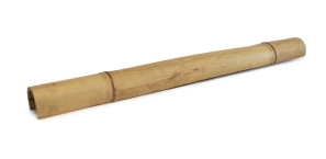 Bamboo