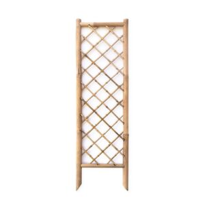 Bamboo Lattice 1700x500